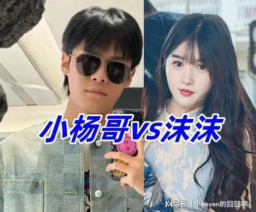 小杨爆料最新视频,揭秘幕后真相，精彩瞬间不容错过